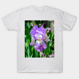 Bearded Iris in bloom T-Shirt